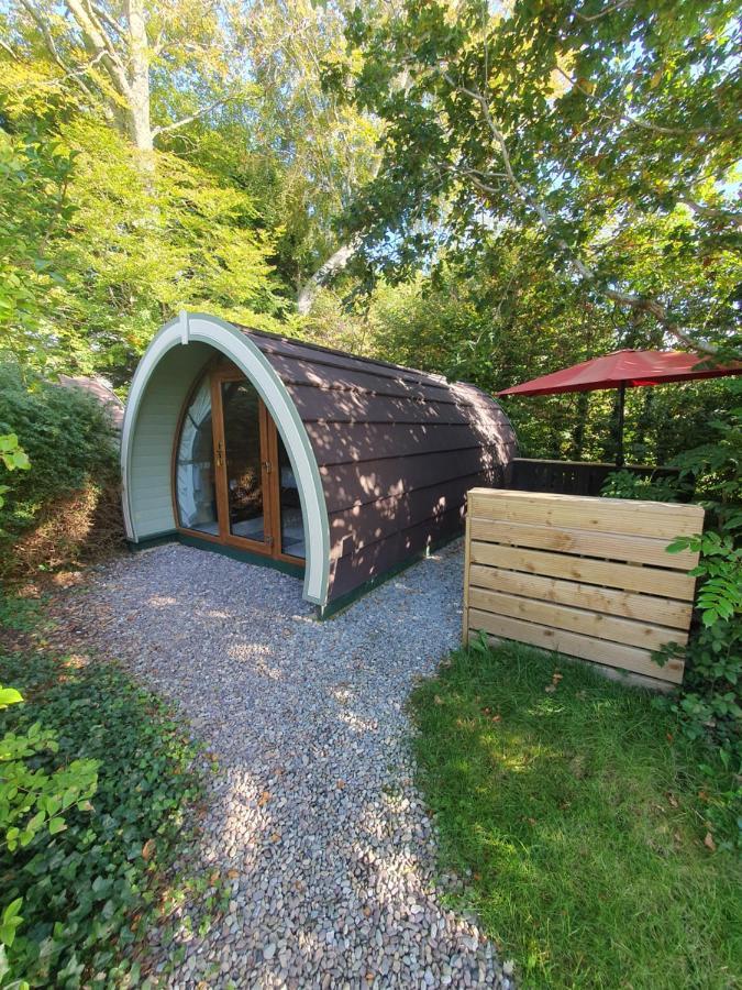 Priory Glamping Pods And Guest Accommodation Killarney Eksteriør bilde