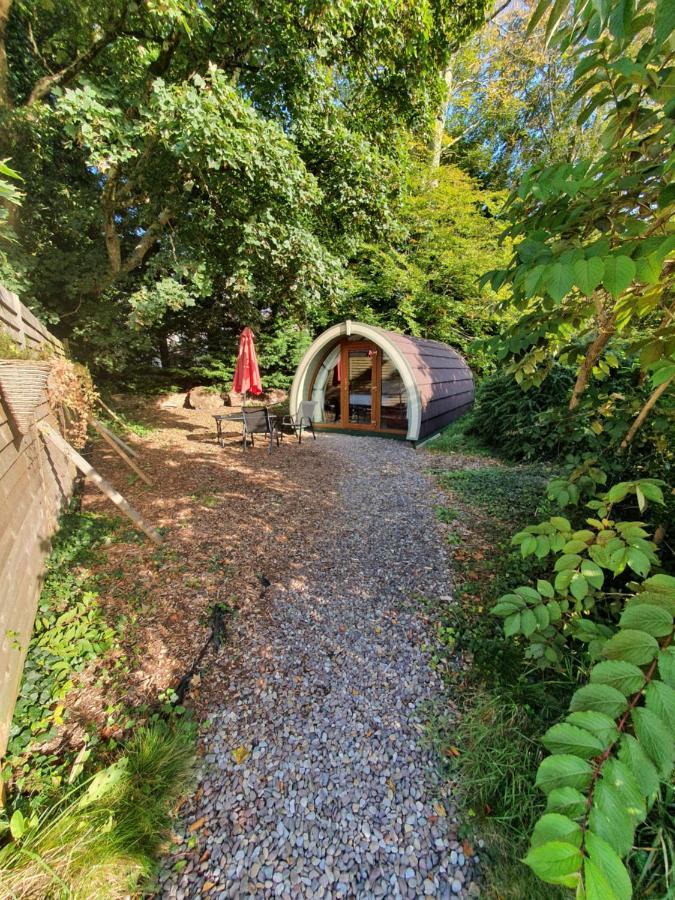 Priory Glamping Pods And Guest Accommodation Killarney Eksteriør bilde