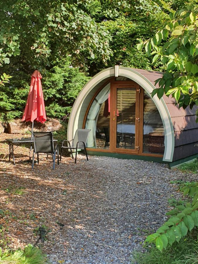 Priory Glamping Pods And Guest Accommodation Killarney Eksteriør bilde