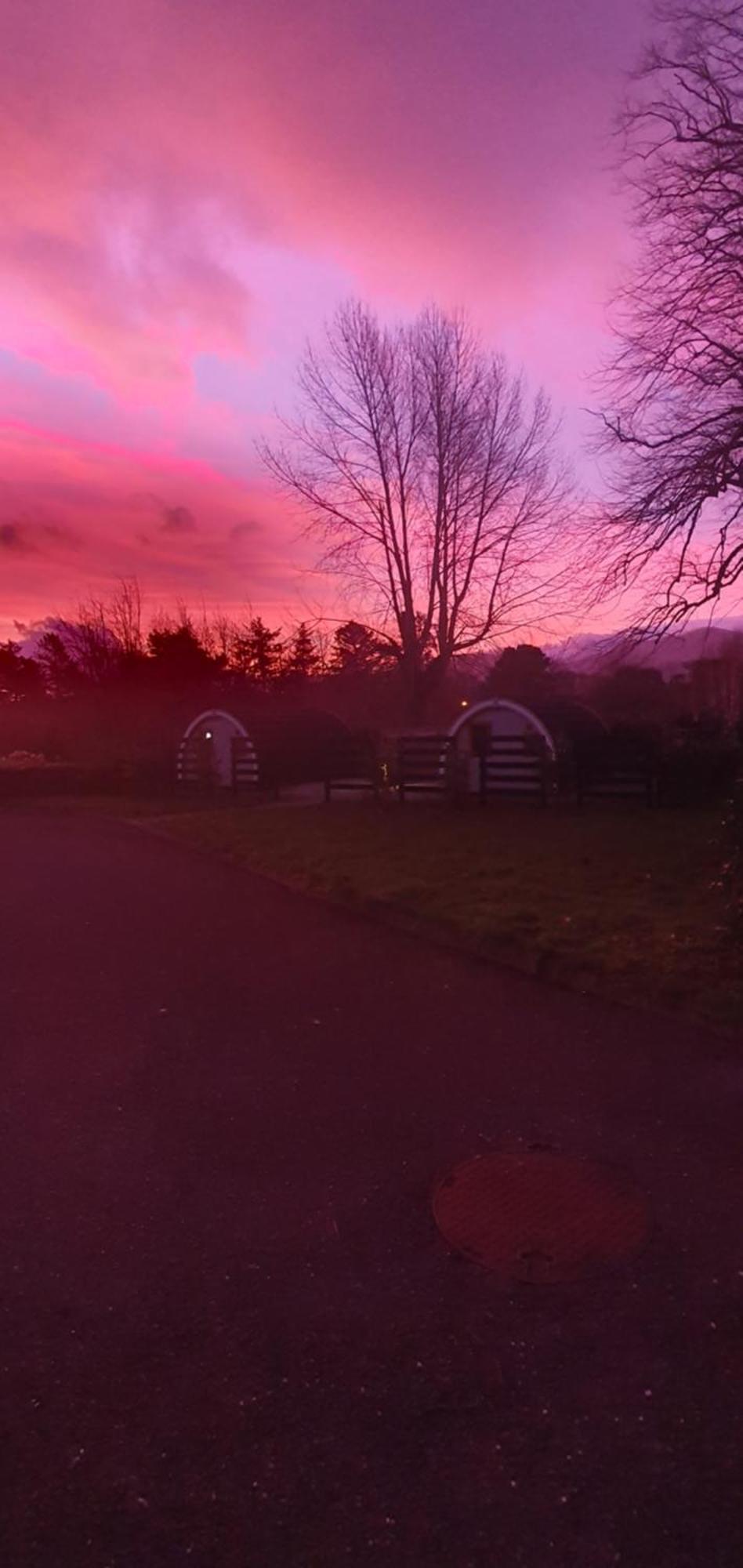 Priory Glamping Pods And Guest Accommodation Killarney Eksteriør bilde