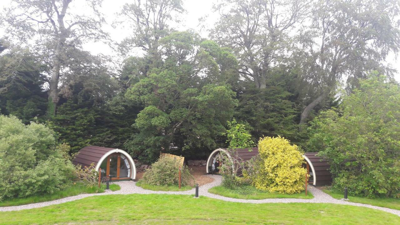 Priory Glamping Pods And Guest Accommodation Killarney Eksteriør bilde