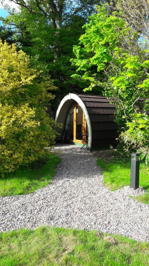 Priory Glamping Pods And Guest Accommodation Killarney Eksteriør bilde