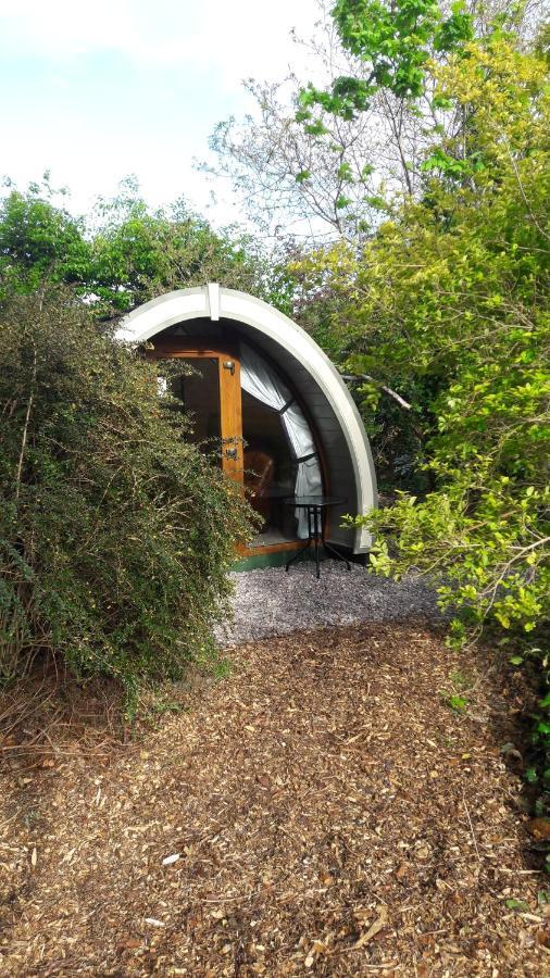 Priory Glamping Pods And Guest Accommodation Killarney Eksteriør bilde