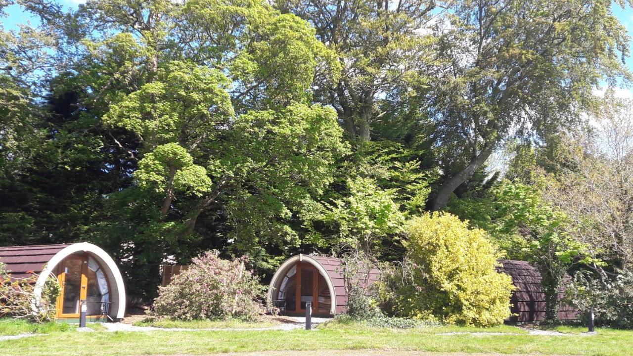 Priory Glamping Pods And Guest Accommodation Killarney Eksteriør bilde